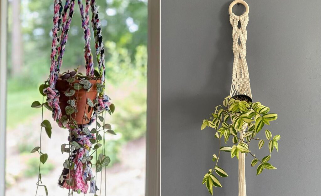 25 Houseplants That Look Great When Grown in Macramé Plant Hangers