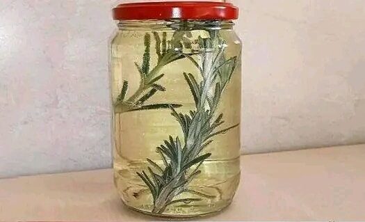 How to scent your entire kitchen in 1 minute with a sprig of rosemary and a lemon